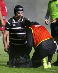 069-bj8a4398.jpg - JPEG - 594.8 ko - 2000×2507 px