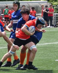 dsc_9154.jpg - JPEG - 607.8 ko - 2000×2513 px