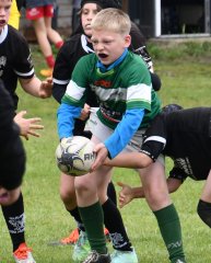 dsc_0613-3.jpg - JPEG - 351.3 ko - 1500×1868 px