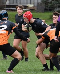 dsc_4542-4.jpg - JPEG - 593.5 ko - 2000×1325 px