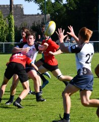 dsc_7524.jpg - JPEG - 518.4 ko - 1500×1847 px