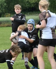 dsc_0495-2.jpg - JPEG - 362.4 ko - 1500×1839 px