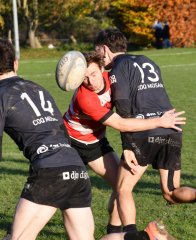 dsc_4145-3.jpg - JPEG - 400.7 ko - 1500×1846 px