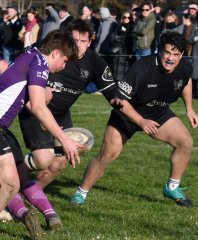 dsc_0223-4.jpg - JPEG - 323.3 ko - 1672×2031 px