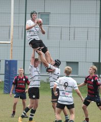 gp5f1595.jpg - JPEG - 654.6 ko - 2000×2433 px