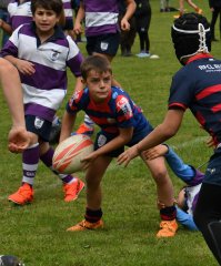 dsc_0630.jpg - JPEG - 395 ko - 1500×1810 px