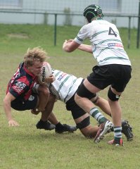 gp5f1519-2.jpg - JPEG - 704.8 ko - 2000×2423 px