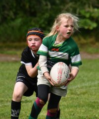 dsc_0441-2.jpg - JPEG - 283.7 ko - 1500×1808 px