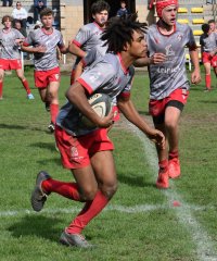 dsc_2368-4.jpg - JPEG - 228.9 ko - 2000×1333 px