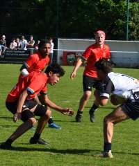 dsc_7519_-_copie.jpg - JPEG - 448.5 ko - 1500×1804 px