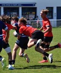 dsc_8319-3.jpg - JPEG - 275.7 ko - 2000×1325 px