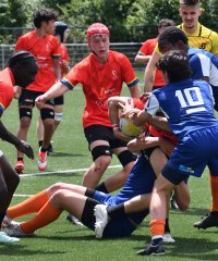 dsc_9153-2.jpg - JPEG - 702.6 ko - 2000×2406 px