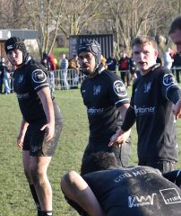 dsc_0256-3.jpg - JPEG - 342.9 ko - 1545×1840 px