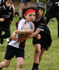 dsc_0827-3.jpg - JPEG - 381.6 ko - 2000×1325 px