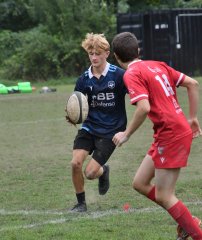 dsc_1589-2.jpg - JPEG - 144.6 ko - 2000×1325 px