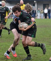 dsc_2028-4.jpg - JPEG - 203.4 ko - 2000×1331 px