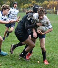 dsc_4250.jpg - JPEG - 415.5 ko - 2000×1325 px