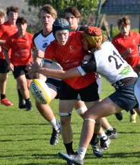 dsc_7772-2.jpg - JPEG - 425.8 ko - 1500×1778 px