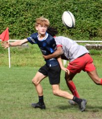 dsc_2319-2.jpg - JPEG - 268.9 ko - 2000×1325 px