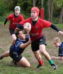 dsc_3697.jpg - JPEG - 247.9 ko - 2000×1325 px