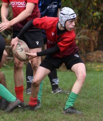 dsc_3758-2.jpg - JPEG - 212.8 ko - 2000×1325 px