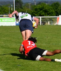 dsc_7610-3.jpg - JPEG - 376.2 ko - 1500×1760 px