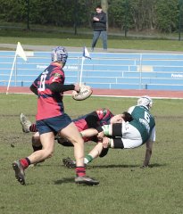 gp5f1816.jpg - JPEG - 671 ko - 2000×2351 px