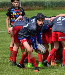 dsc_0451-5.jpg - JPEG - 415.2 ko - 1500×1744 px