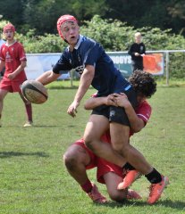 dsc_1540-2.jpg - JPEG - 266.9 ko - 2000×1325 px