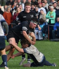 dsc_3596-3.jpg - JPEG - 461.6 ko - 2000×2321 px