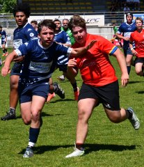 dsc_8037_-_copie.jpg - JPEG - 593 ko - 1500×1744 px