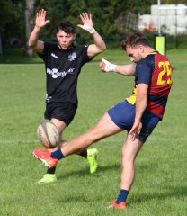 dsc_2502-3.jpg - JPEG - 353.2 ko - 1500×1737 px