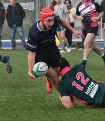 dsc_0763-4.jpg - JPEG - 546.4 ko - 2000×1325 px