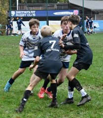 dsc_4248-4.jpg - JPEG - 185.6 ko - 2000×1333 px