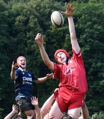 dsc_1529-2.jpg - JPEG - 134.2 ko - 2000×1333 px