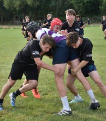 dsc_2017-2.jpg - JPEG - 172.6 ko - 2000×1333 px