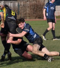 dsc_4844.jpg - JPEG - 223.1 ko - 2000×1325 px