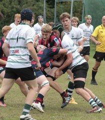 gp5f1377.jpg - JPEG - 784.3 ko - 2000×2294 px