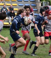 dsc_2278-2.jpg - JPEG - 626.7 ko - 2000×1166 px