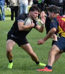 dsc_2490-2.jpg - JPEG - 339.5 ko - 1500×1708 px