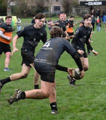 dsc_4565-4.jpg - JPEG - 180.3 ko - 2000×1333 px