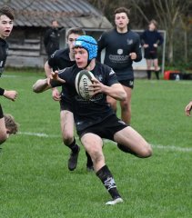 dsc_4600-4.jpg - JPEG - 667.5 ko - 2000×1325 px