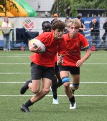 dsc_9359-4.jpg - JPEG - 536.1 ko - 2000×2279 px