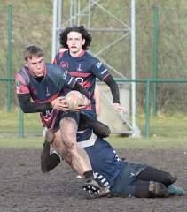 gp5f0465.jpg - JPEG - 607.7 ko - 2000×2282 px