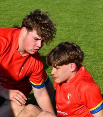 dsc_7856-3.jpg - JPEG - 385.7 ko - 1500×1699 px