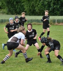 dsc_0498-5.jpg - JPEG - 636.2 ko - 2000×1325 px