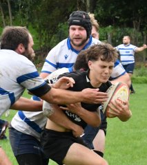 dsc_2872-3.jpg - JPEG - 128.5 ko - 1500×996 px