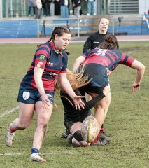 gp5f9125.jpg - JPEG - 891 ko - 2000×2258 px