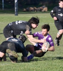 dsc_0187-3.jpg - JPEG - 235.5 ko - 1466×1649 px