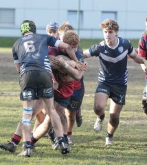 gp5f0383.jpg - JPEG - 720.2 ko - 2000×2249 px